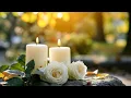 Eli Mehring Obituary Chicago Community Mourns Beloved Friend and Respected Resident