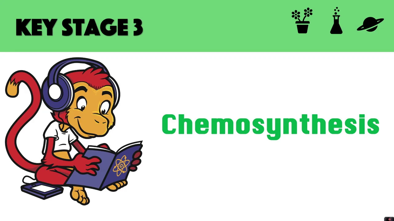 Chemosynthesis