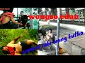 Download Lagu Wongso patah hati || gombloh-paimen || kremi chanel