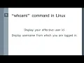 Top 20 Commands in Linux Linux Commands for Beginners Hindi