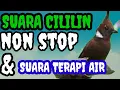 Download Lagu suara cililin || full dengan terapi air