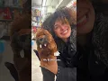 5 Plushie Shopping Challenge