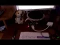 MQTT communicated between Windows PC and Raspberry Pi