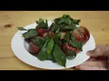 Fresh Plum Milkshake - Best Refreshing Milkshake for Summer - Easy and Healthy Milkshake Recipe