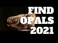 Finding Opals at the Royal Peacock Opal Mine 2021