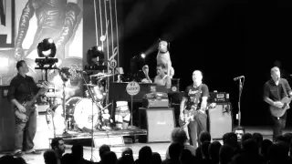 Download Social Distortion - Alone And Forsaken (Greek Theatre, Los Angeles CA 9/12/15) MP3