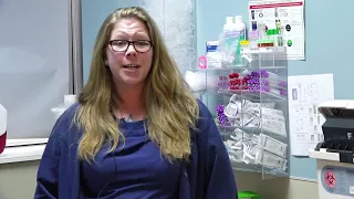 Bronson Lab Lindsey Obey