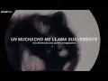 la canción de pedro | PEDRO - Raffaella Carrà, Jaxomy, Agatino Romero (Remix TikTok / Sub. Español)