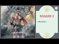 Mundiyan || BAAGHI 2 - 2018 || Palak Muchhal, Navraj Hans.