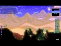 How to catch Birds - Terraria