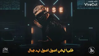 مسلم  مفيش راجل بيقول  حالات واتس آب   دندنها