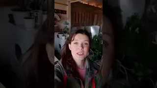 К акции #СИДИМДОМА присоединились и корреспонденты «Вестей Омск»
