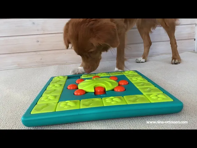 Nina Ottosson MultiPuzzle Treat Puzzle Game