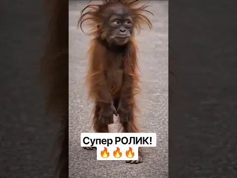 Супер НАСТРОЕНИЕ! 🔥#shorts #shortvideo #song #short