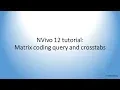 NVivo 12 tutorial - Matrix coding query and crosstabs