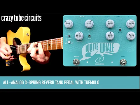 Crazy Tube Circuit White Whale V2 Spring Reverb | Delicious Audio