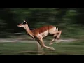 tame impala - let it happen (but it's only the best part)
