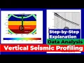 VSP Data Analysis Made EASY with These Simple Tricks