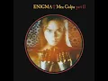 Mea Culpa (Part II / Fading Shades Mix)