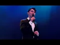 MARTIN SAVI "CAN´T HELP FALLING  IN LOVE WITH YOU"