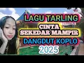Download Lagu LAGU TARLING CINTA SEKEDAR MAMPIR DANGDUT KOPLO