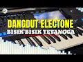 Lagu DANGDUT ELECTONE BISIK-BISIK TETANGGA-Elvie Sukaesih/Cover Saleh Dmk