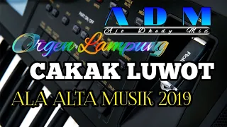 Download Orgen Lampung  ala ALTA MUSIK cakak luwot MP3