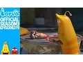 Stick insect - Larva Season 3 Episode 19