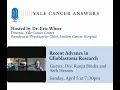 Recent Research Advances in Glioblastoma