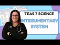 2025 ATI TEAS 7 Science Anatomy and Physiology Integumentary System with Nurse Cheung