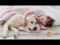 Proin ER Canine Incontinence