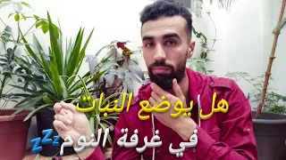هل وجود النبات في غرفة النوم ضار دندنها