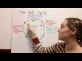 Download Lagu Cell Cycle