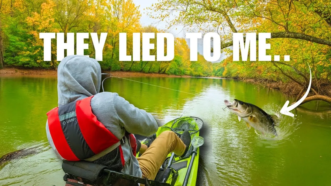 GIANT Striper & Bass LOVE this Swimbait (Lake Lanier)