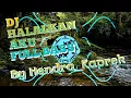 Download Lagu DJ HALALKAN AKU TERBARU FULL BASS By Hendra Kaprek