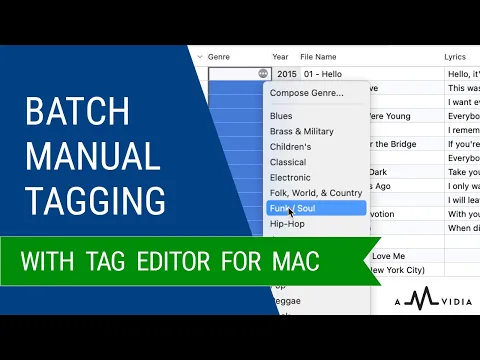 Download MP3 Batch manual tagging of music on Mac with Tag Editor by Amvidia