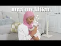 my first 72 hours as a kitten mommy