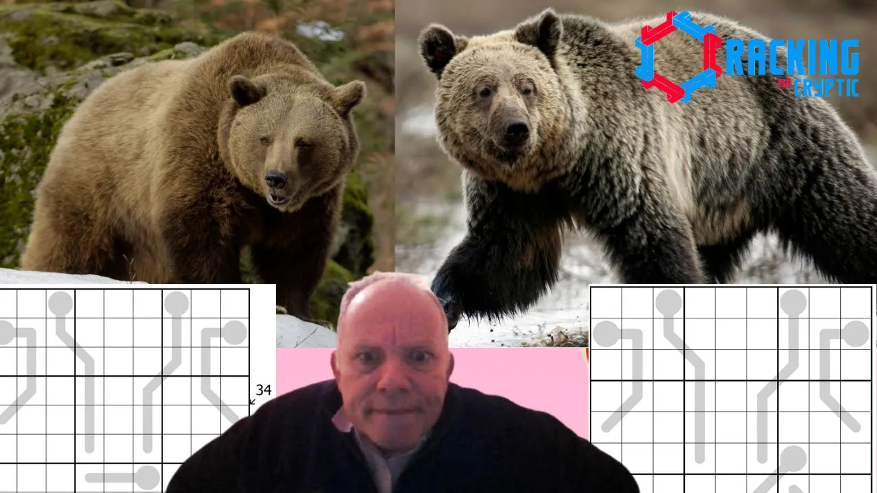 Which Bear is Best? You Decide