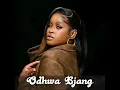 Shandesh - Odhwa byang _feat King Salah