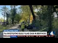 Plane crashes in Brentwood pilot dies