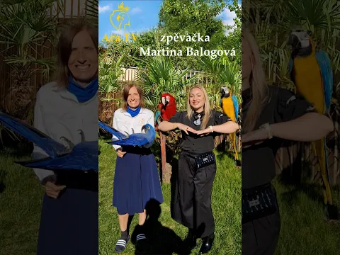 761 - Zpěvačka Martina Balogová zpívá papouškům #podcast #zpěv