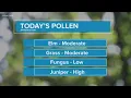 Allergies They re year-round in the Dallas-Fort Worth area