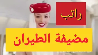 شروط مضيفة الطيران وراتبها ومؤهلاتها والدورات المؤهلة لوظيفة مضيفة الطيران اكاديميات الضيافة الجوية 