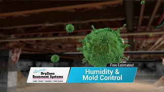 Dryzone Basement Systems