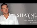 Lagu Shayne Ward - No Promises (Slowed Down- Official Audio)