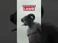 Download Lagu Lamb 2021 - Recapped