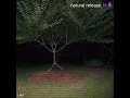 Natural Release