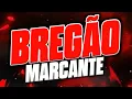 Lagu BREGÃO MARCANTE - AS MELHORES SEM VINHETAS