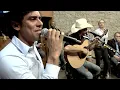 Guilherme e Santiago tocam "Solteiro sim, sozinho nunca" no Estúdio Ao Vivo Transamérica