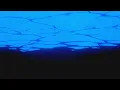 backends fasho - offset (slowed + reverbed)